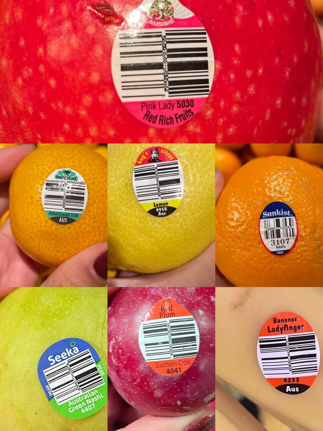 Custom Fruit Labels